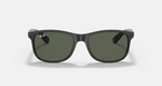 RAY-BAN ANDY RB4202 606971