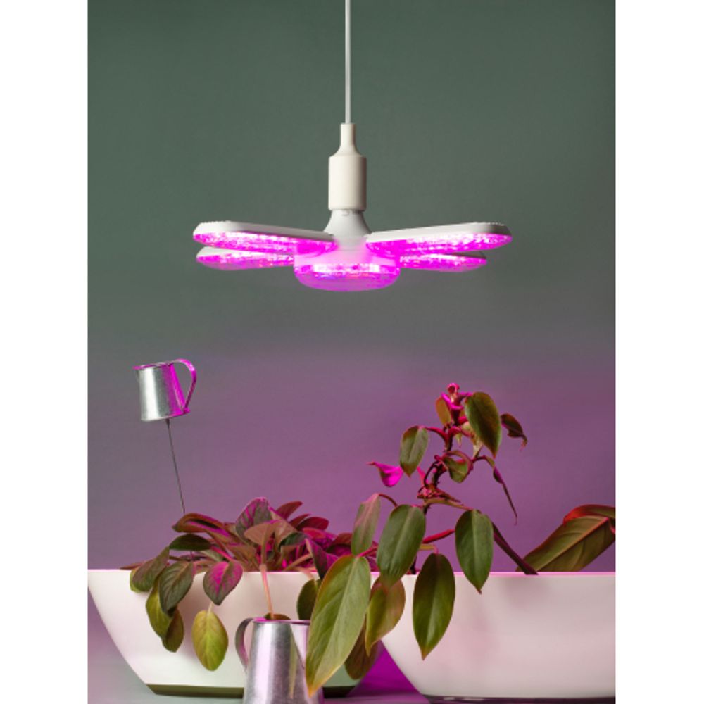 Фитолампа для растений светодиодная ЭРА GREEN LINE ФИТО-65W-PL-E27-GR 5-ти лепестковая розового свечения 65 Вт Е27 | ФИТО светильники