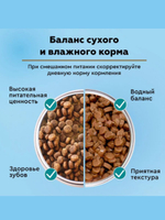 Влажный корм для стерилизованных кошек Secret Life Force (Секрет) 0,085кг говядина в соусе пауч. В комплекте 24 шт