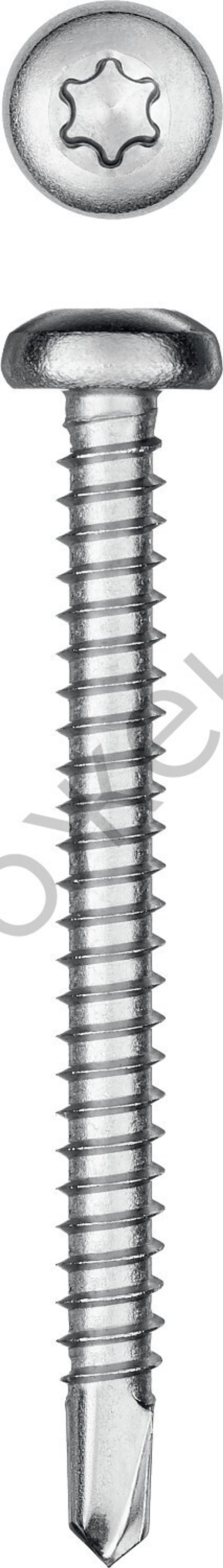KRAFTOOL DS-P 50 х 4.8 мм, А2, сверло, полукр. головка, ТХ25, саморез нержавеющий, 150 шт (300931-48-050)