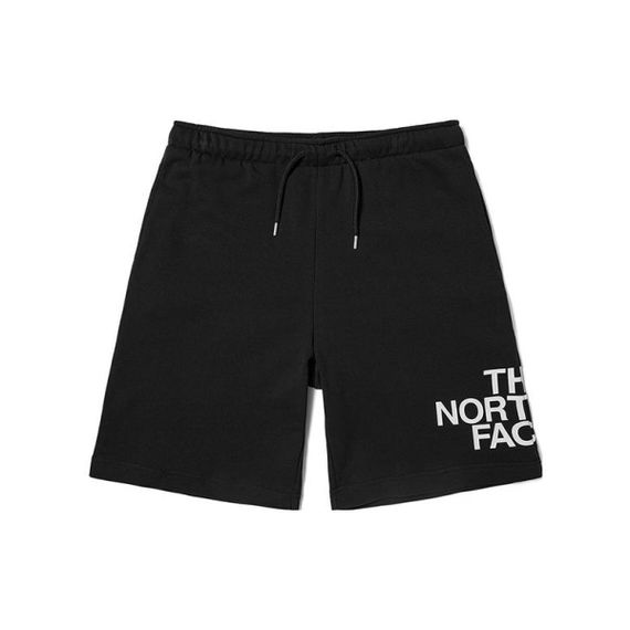 THE NORTH FACE 23SS Logo