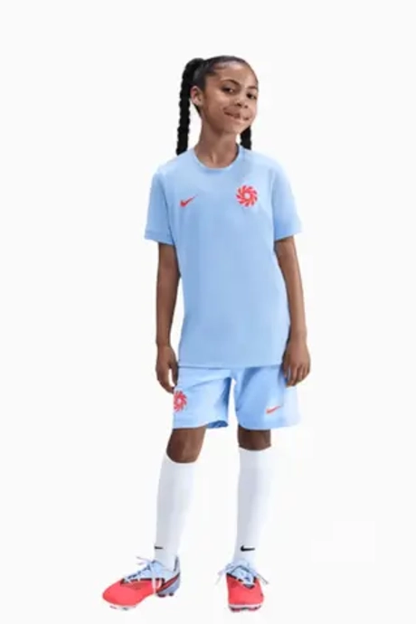 Футболка Nike Erling Haaland Academy Junior - голубой