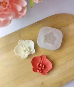 Цветок Орхидея