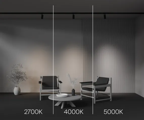 Трековый светильник Фокус / Focus Led Trinity 2700-5000K 12Вт 36° Technical tr197-3-12wcct-m-b