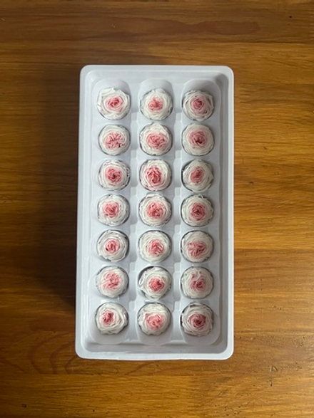 Роза пионовидная бело-розовая d=2-3 см (упак 21 шт)