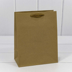 Пакет подарочный 18х23х10см (Крафт)