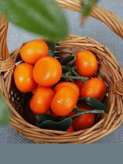 Мандарины на ветке для декора