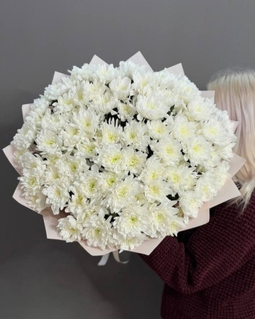 Букет из 15 кустовых хризантем сорта "Baltica white"