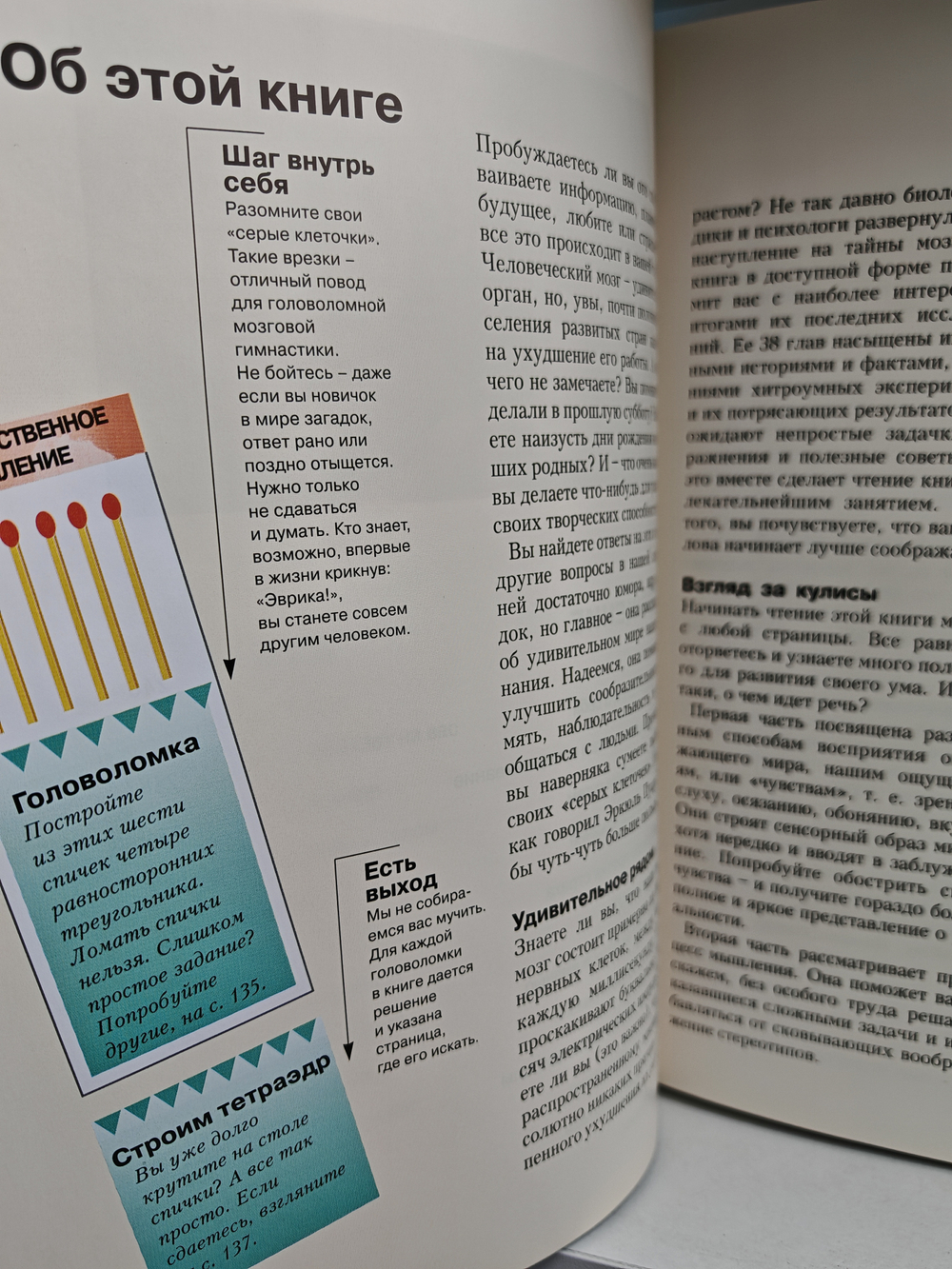 Мысль. Разум. Интеллект. Практическое руководство по развитию умственных способностей