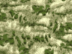 Ткань смесовая для спецодежды Prival TC-1265, камуфляж Мох, 120г/м2, 1.5х10м