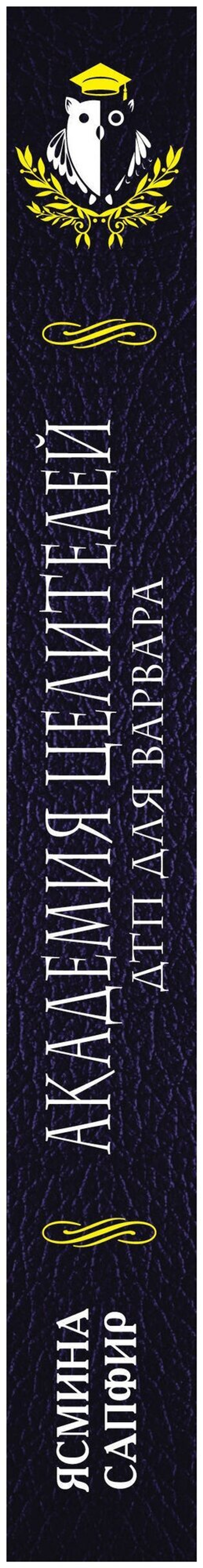 Академия целителей. ДТП для варвара