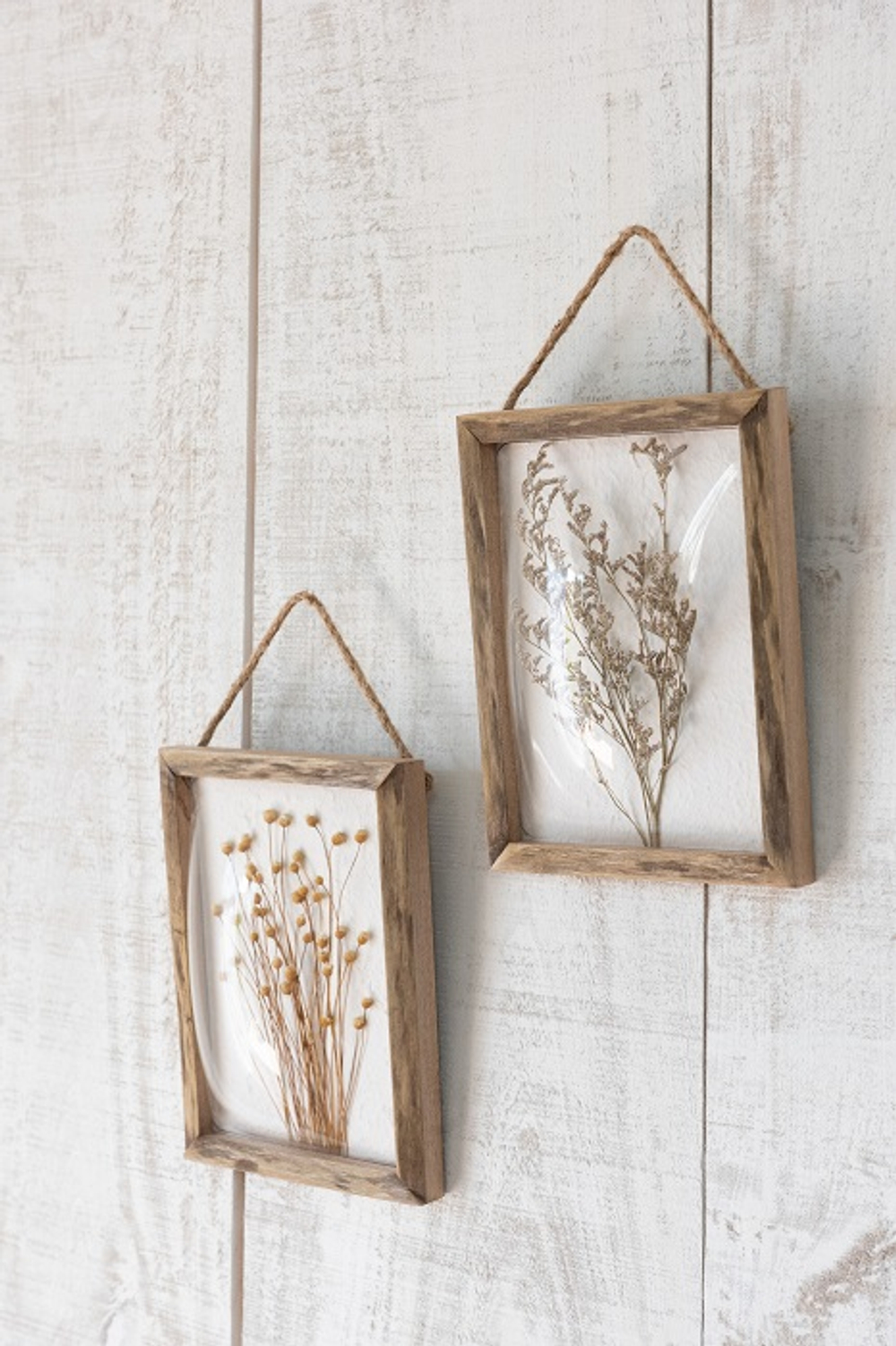 Панно "Ботаника" 2 вида 19x6,5x25см МДФ,сухоцветы