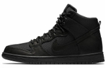 Кроссовки Nike Dunk Sb Bota
