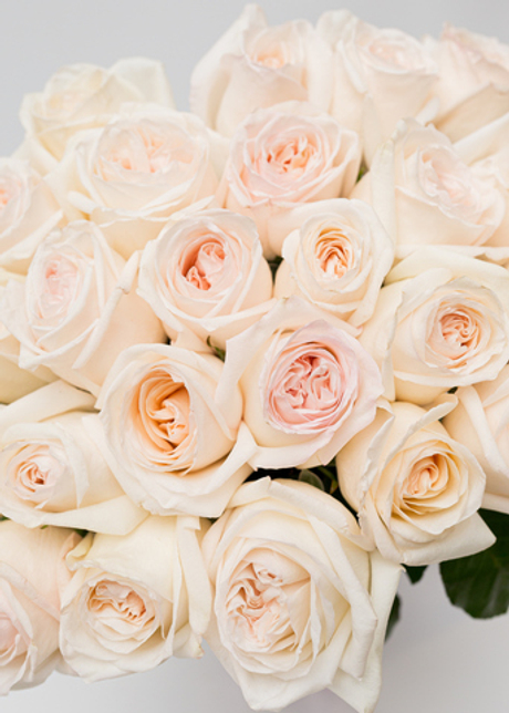 Роза Вайт О'Хара