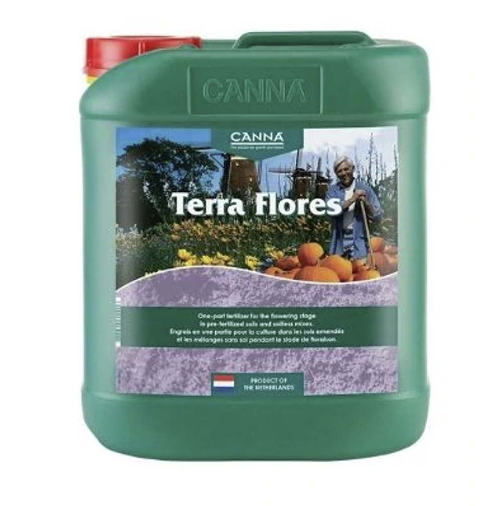 Canna Terra Flores