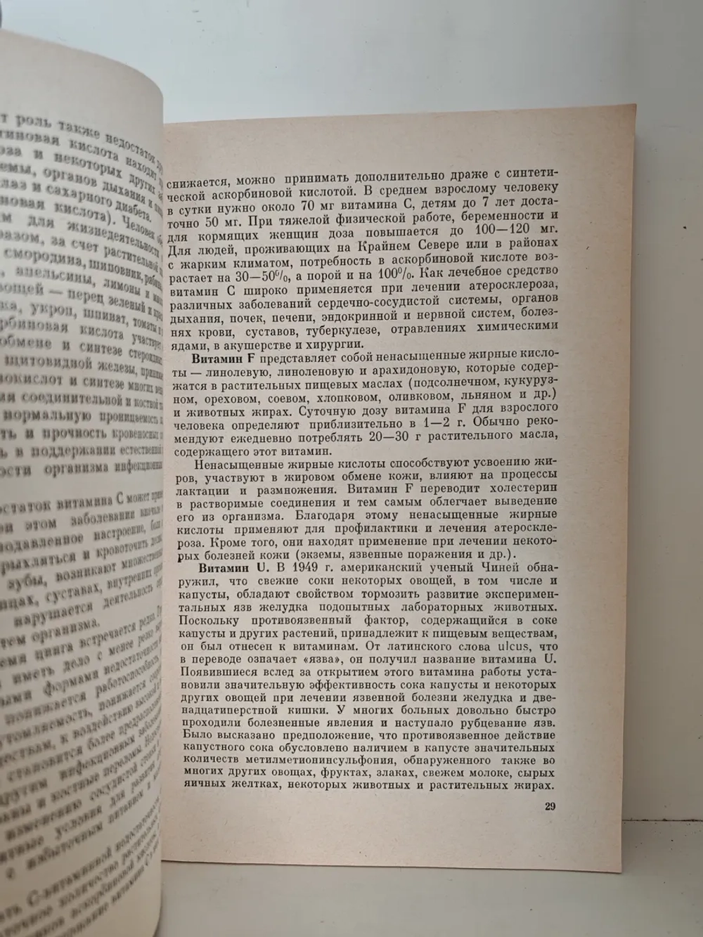 Целебные свойства пищевых растений