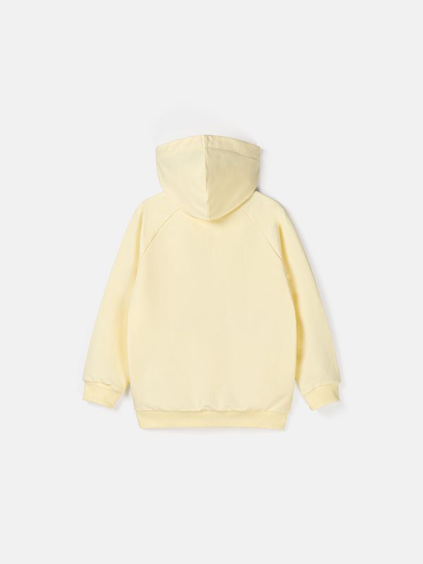 Толстовка облегченная 