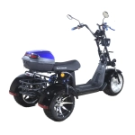 Электроскутер CityCoco Skyboard MyRussia (Маруся) BR60 3000W Trike
