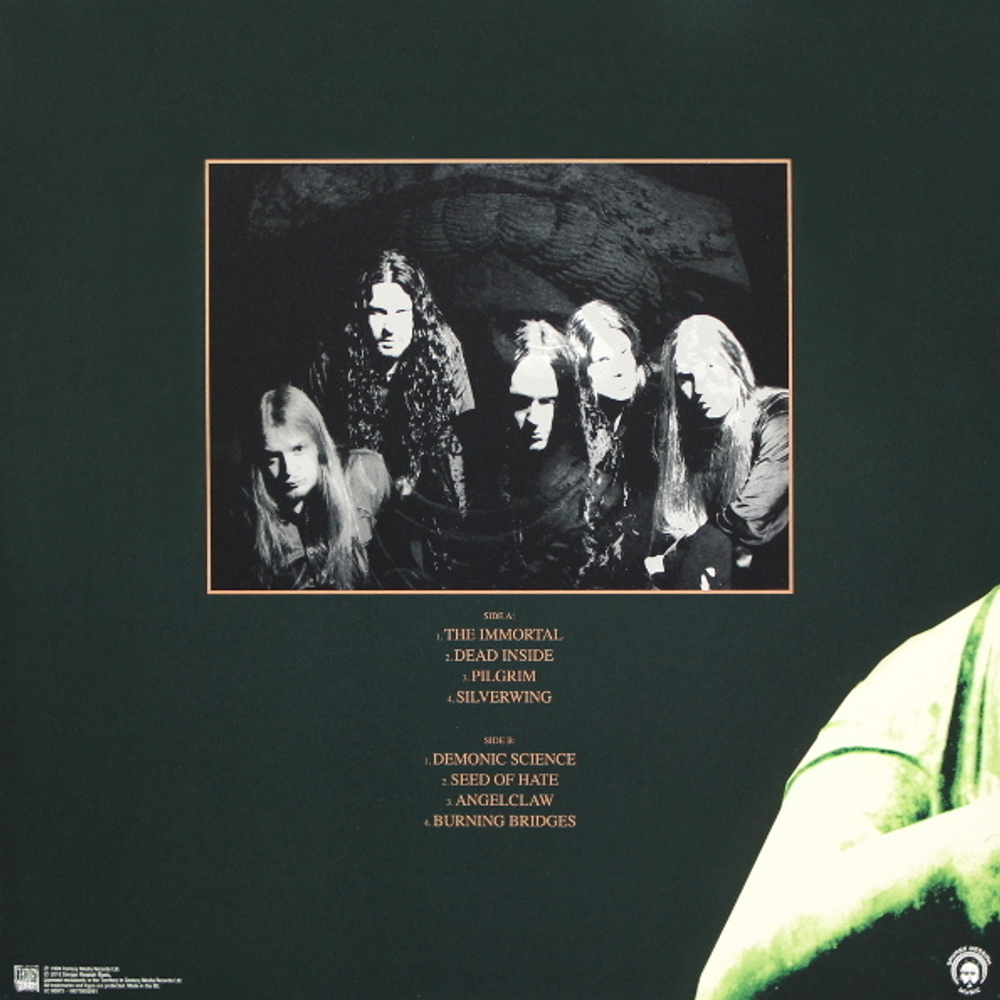 Arch Enemy / Burning Bridges (LP)