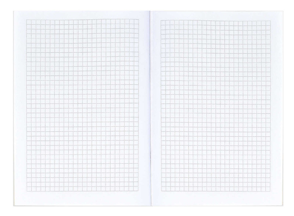 Тетрадь 32 л. евроклетка ФЕНИКС Путешествие (71695)