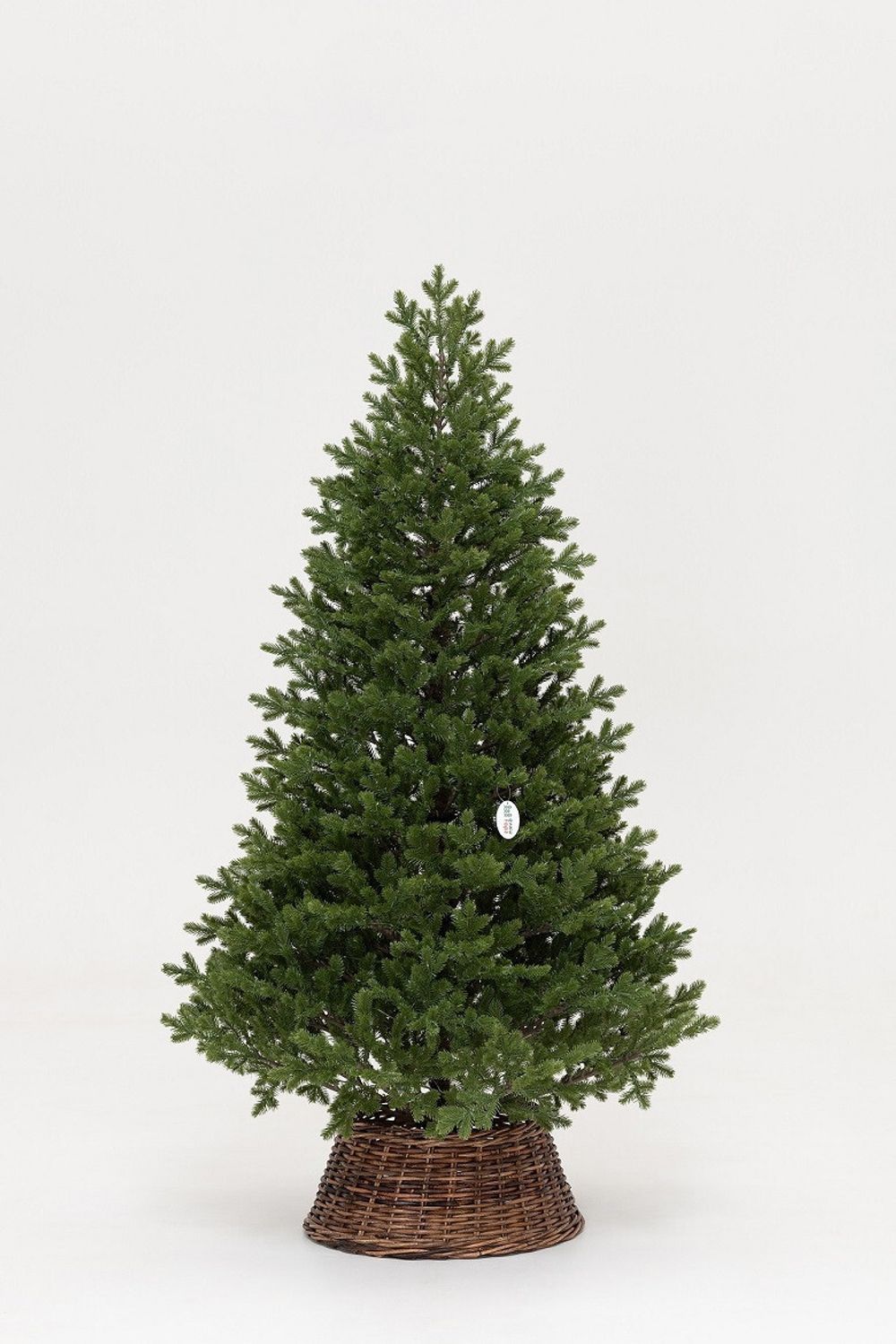 Елка с гирляндой 2в1 «Измайловская» (Литая хвоя) 3 м