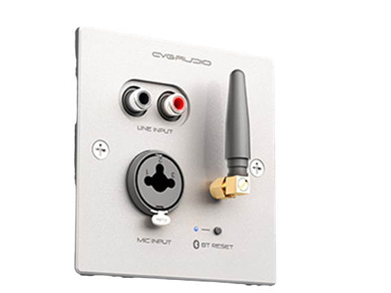 CVGAUDIO PW/EX-IN/W универсальная настенная панель для удаленного подключения балансного микрофона MIC IN