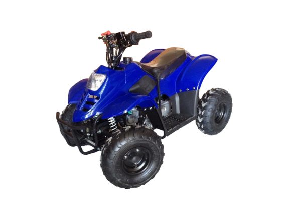 Квадроцикл RAPTOR 110