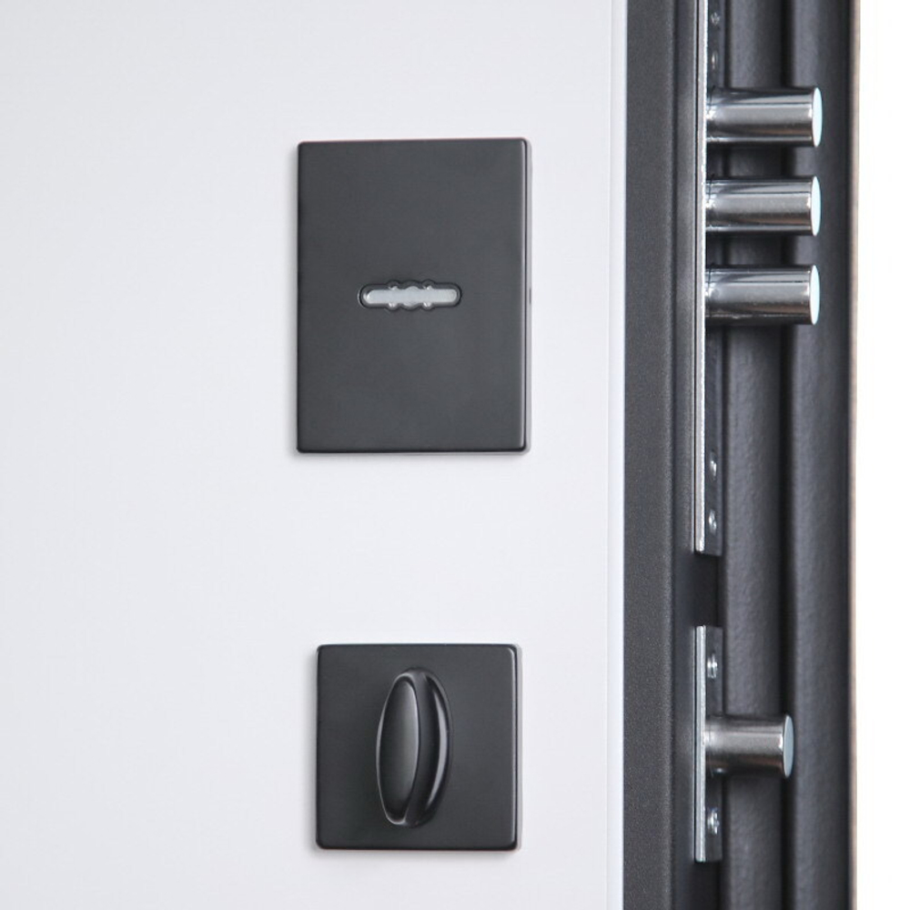 Стальная дверь «Илона» (биометрический замок Smart lock Y23)