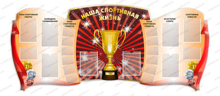 Стенд НАША СПОРТИВНАЯ ЖИЗНЬ с карманами 1059