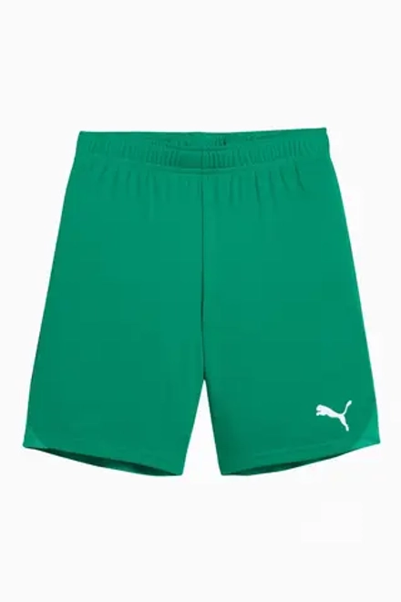 Шорты Puma teamGOAL Junior - зеленый