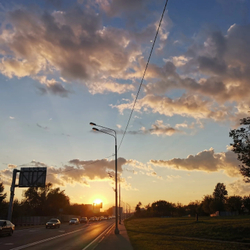 Грифон