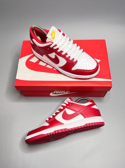 Кроссовки Nike Sb Dunk Low Retro "White/Red"