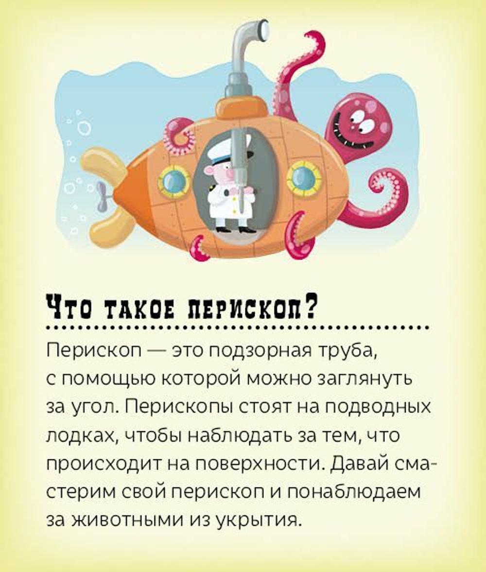 Лес круглый год