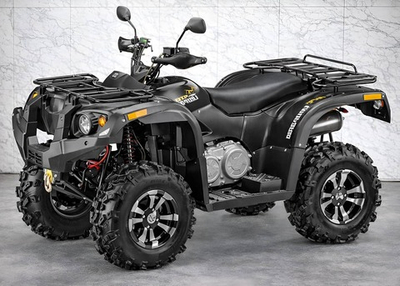 Квадроцикл STELS ATV 600 Y Leopard (ПСМ)