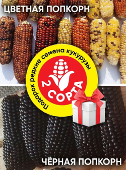 Дикий картофель, 4 сорта, 12 клубней