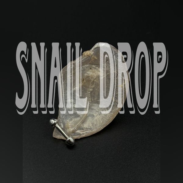 УКРАШЕНИЯ ИЗ...УЛИТКИ?