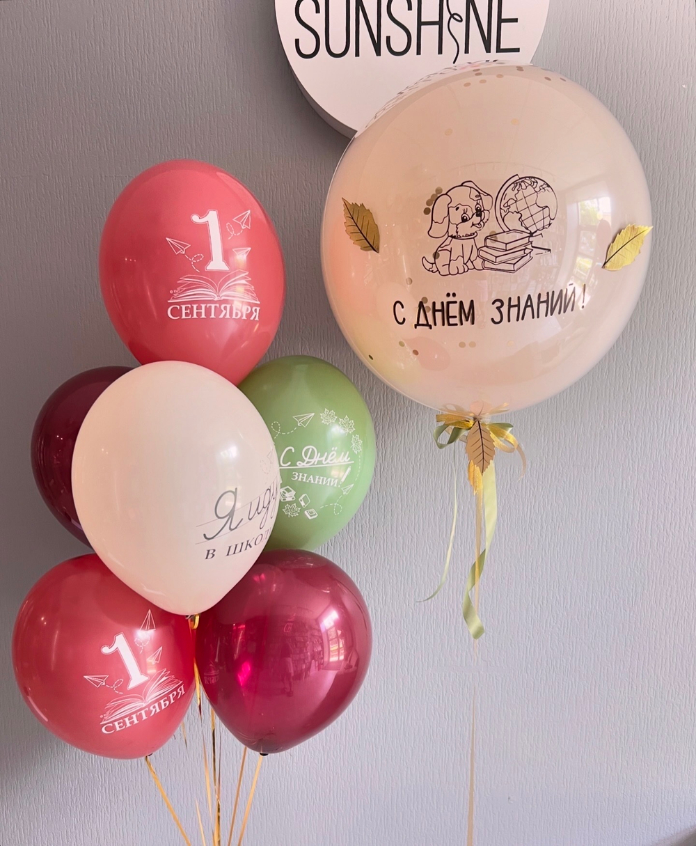 Набор шаров на 1 сентября №3