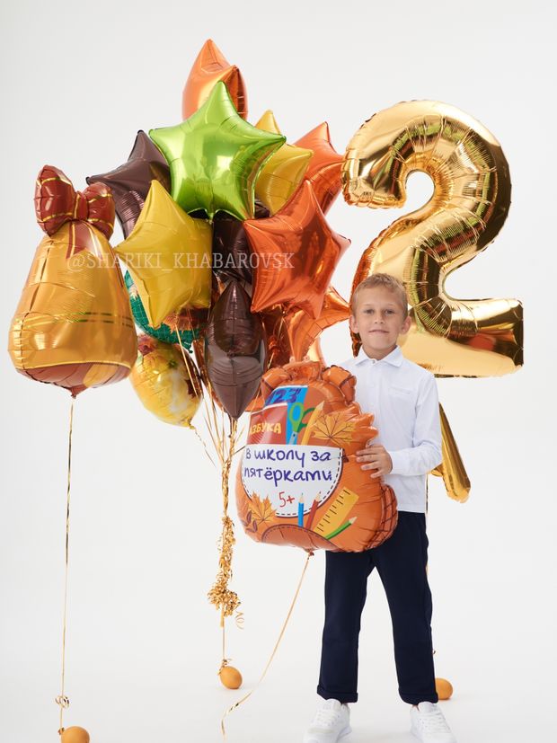 Воздушные шары на 1 сентября №1/69