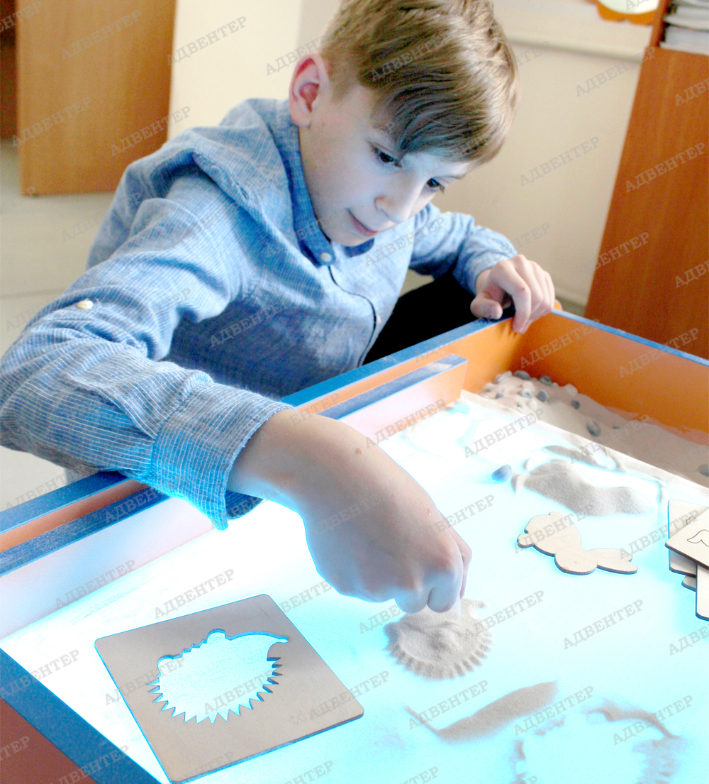 Комплект трафаретов Дикие животные "Учёный кот"