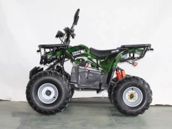 Электроквадроцикл Green Camel Атакама T420 (60V 1500W R8 Дифференциал) пониженная