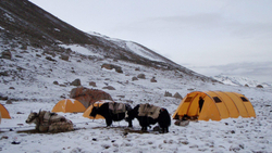 Палатка Снаряжение Камчатка