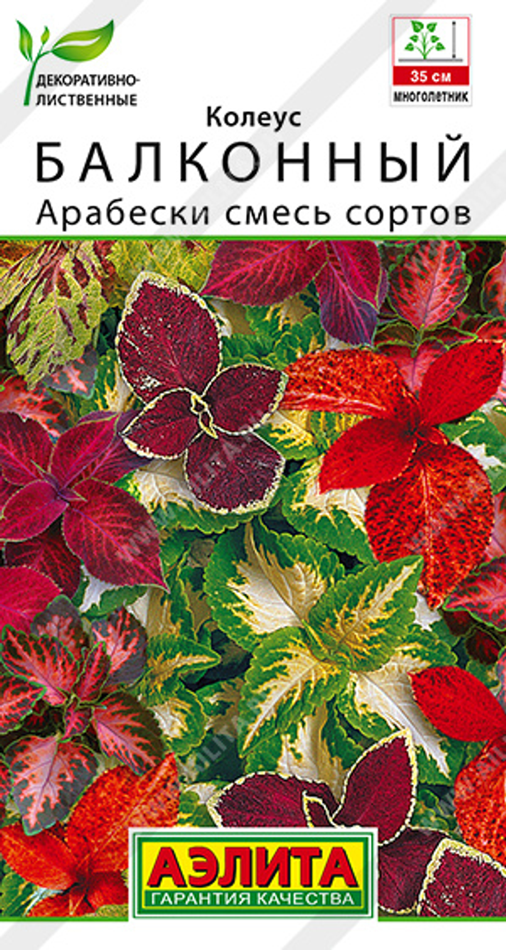 Колеус балконный Арабески, смесь сортов 5 шт (Аэлита)