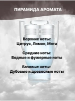 Отдушка Invictus 50 гр