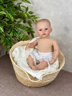 Кукла Реборн мягконабивная 48см без одежды (FA-822AW)