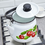 Чайник 3,5л с рисунком, цвет в ассортименте 21572