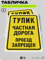 Табличка для частной территории "Тупик, частная дорога", на дом, для участка, организаций, предупреждающая, 40х30 см, Silver Plane x Айдентика Технолоджи