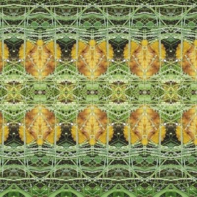 Лесная сказка