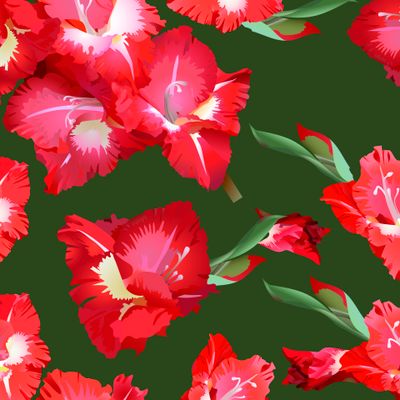 Красные гладиолусы на зеленом фоне