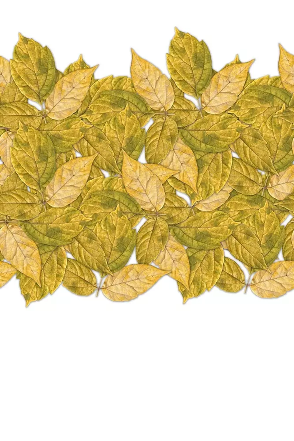 Цифровое панно ID Wall FOLIAGE WHITE