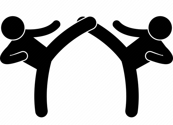 Областные соревнования и Фестиваль по тхэквондо ВТ «Сила духа»